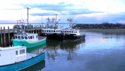 PICTURES/New Brunswick - Village of Alma/t_4Boats2 - Medium.JPG